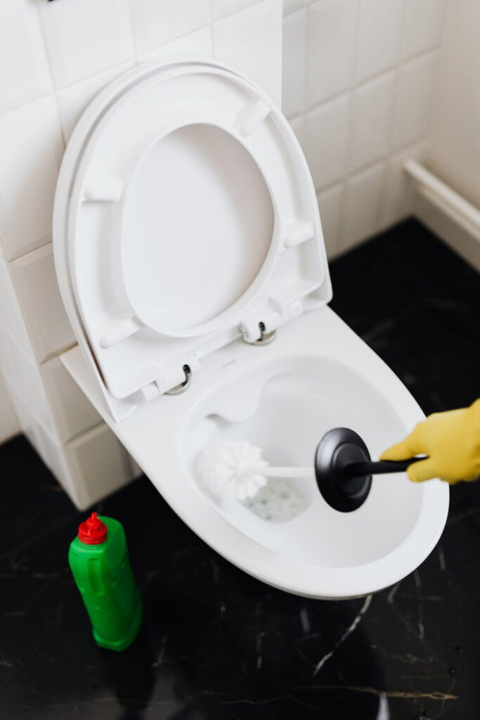 Toilet Cleaning Services