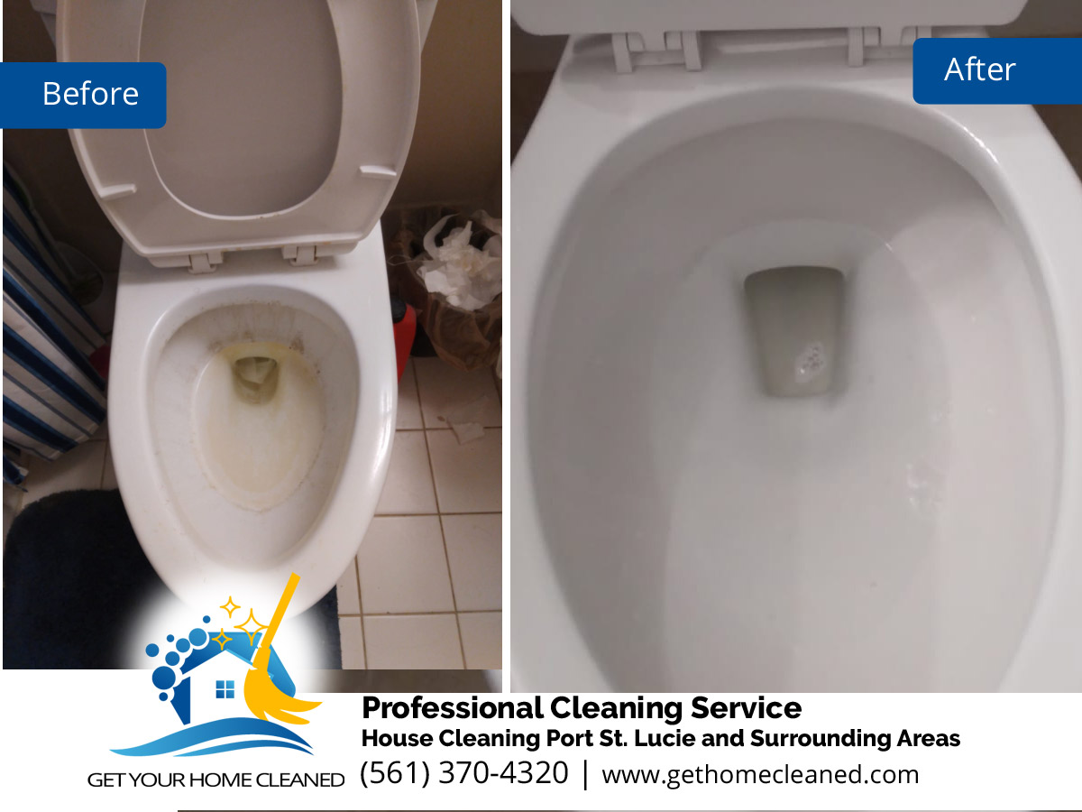 Dirty Toilet Cleaning Services - Before and After Pictures